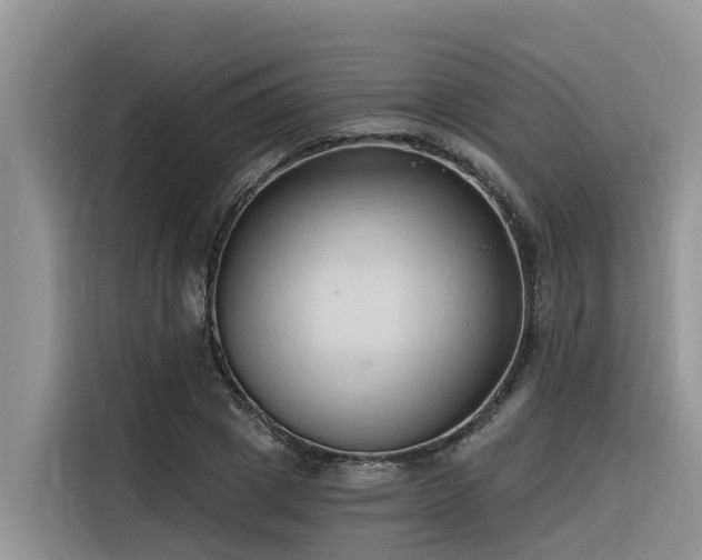 X0000116320833200912011111