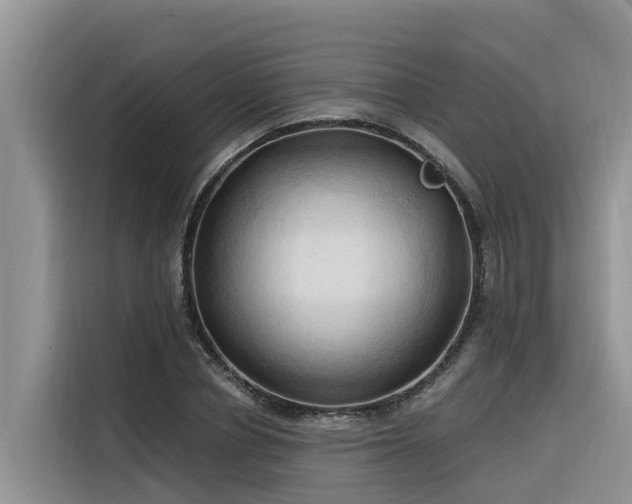 X0000116320834200912011111