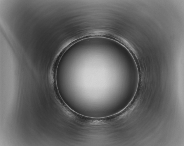 X0000116320835200912011111