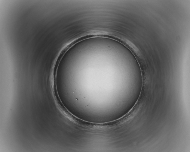 X0000116320840200912011111