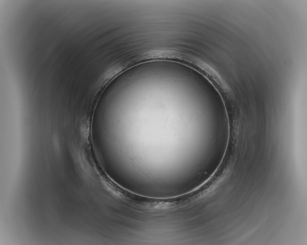 X0000116320841200912011111