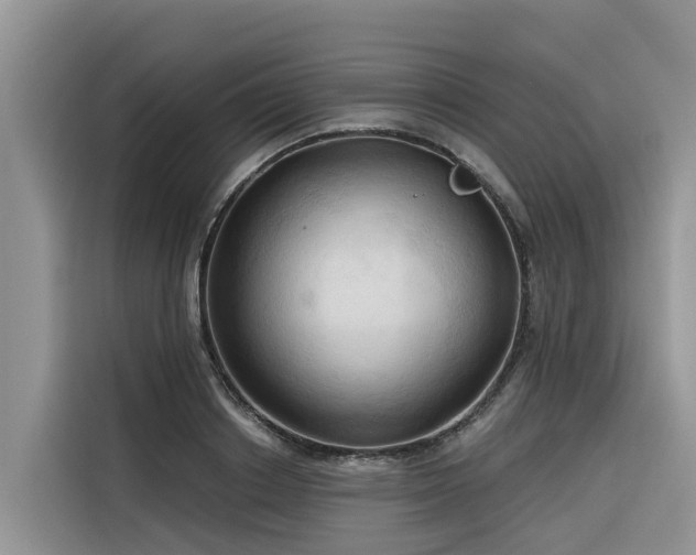 X0000116320842200912011111