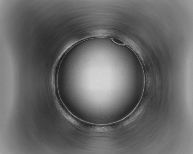 X0000116320843200912011111