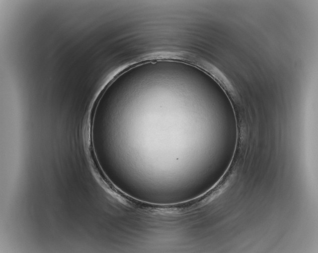 X0000116320844200912011111