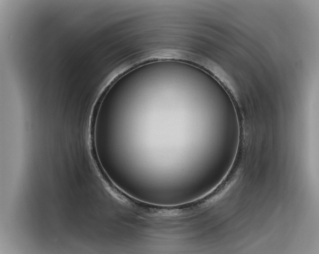 X0000116320845200912011111