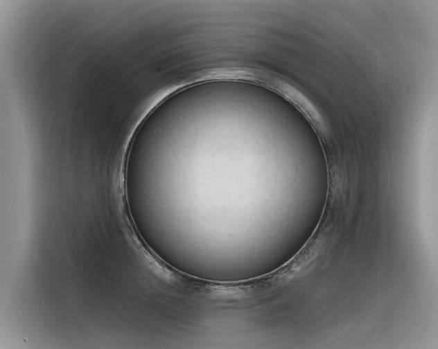 X0000116320852200912011111