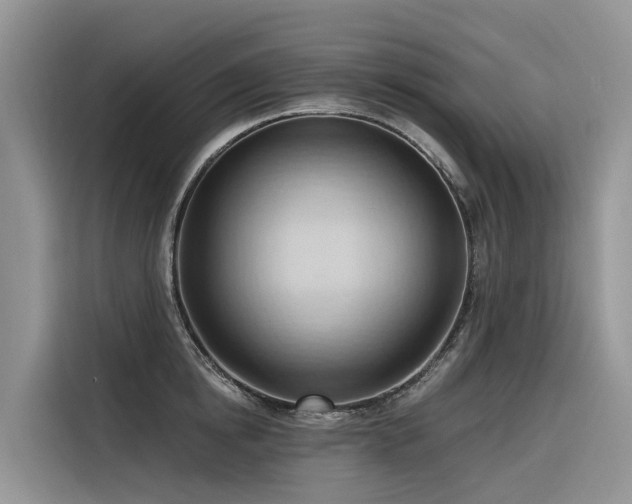 X0000116320854200912011111