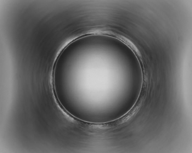 X0000116320855200912011111