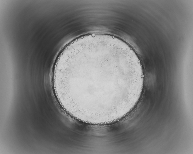 X0000116320856200912011111