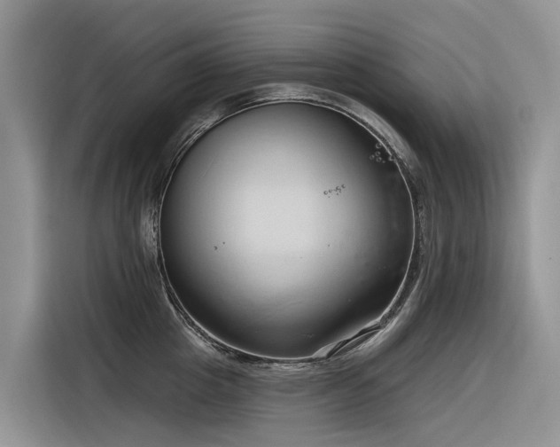 X0000116320857200912011111