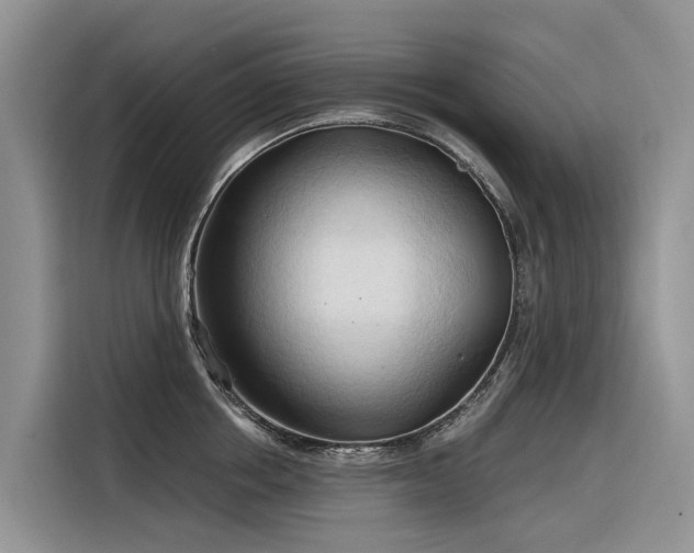 X0000116320858200912011111