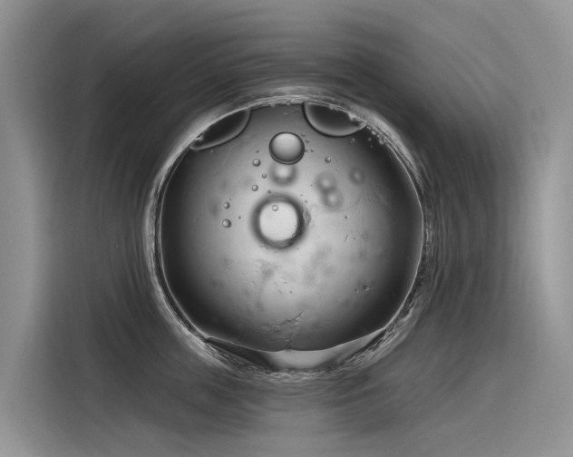 X0000116320859200912011111