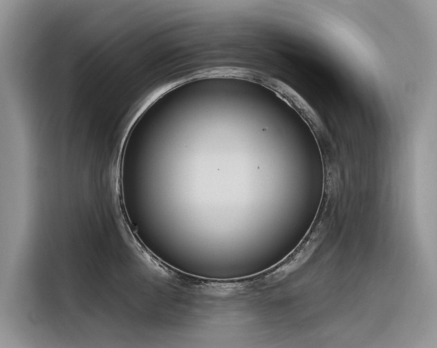 X0000116320860200912011111