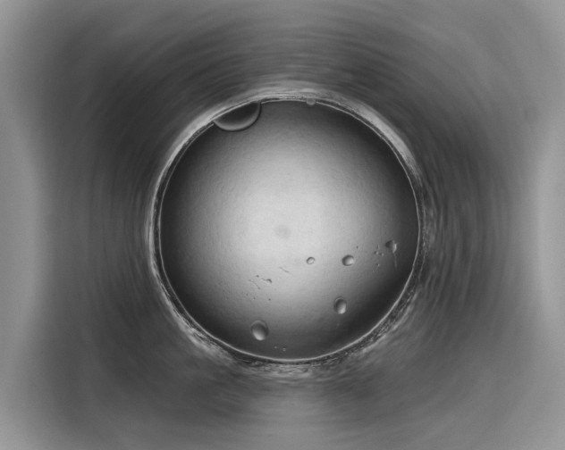 X0000116320861200912011111