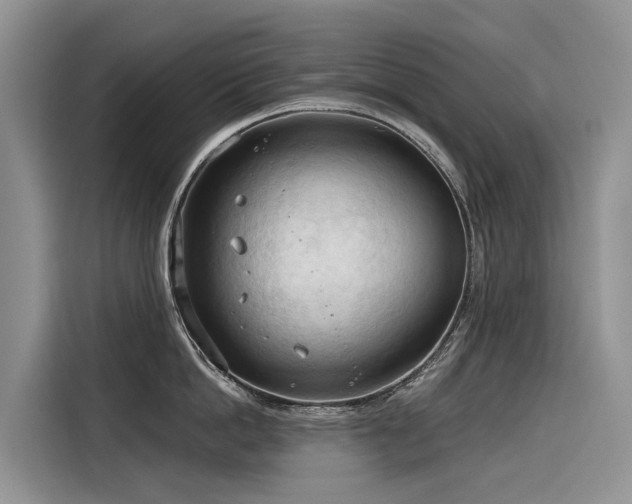 X0000116320862200912011111