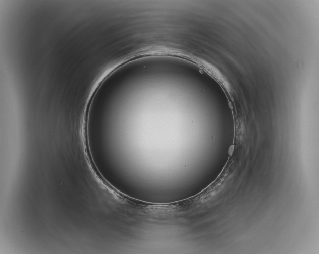 X0000116320863200912011111