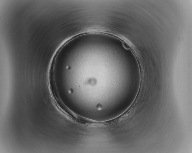 X0000116320864200912011111