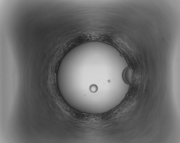 X0000116320865200912011110