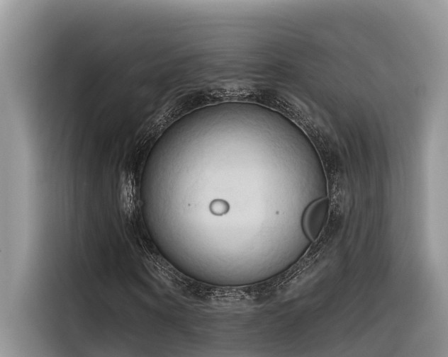 X0000116320866200912011110