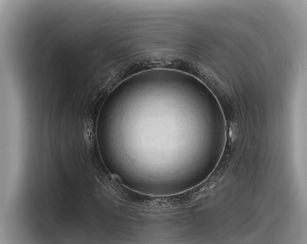 X0000116320867200912011110