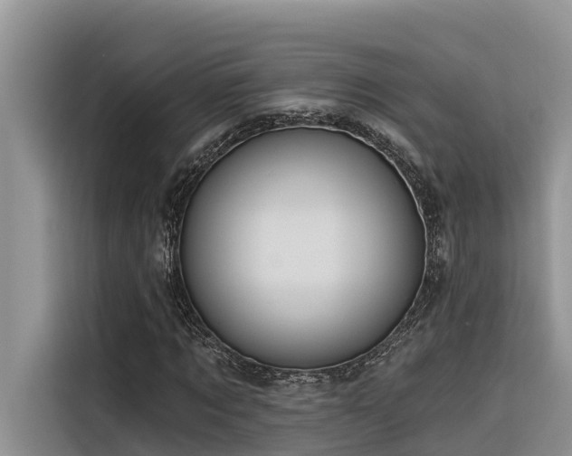 X0000116320869200912011110