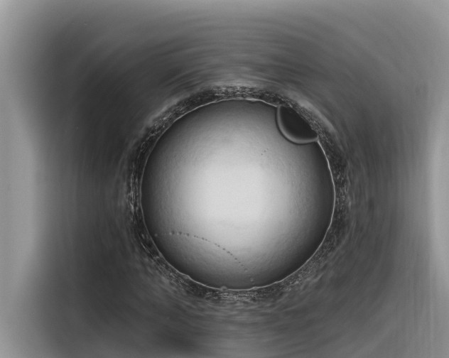 X0000116320870200912011110