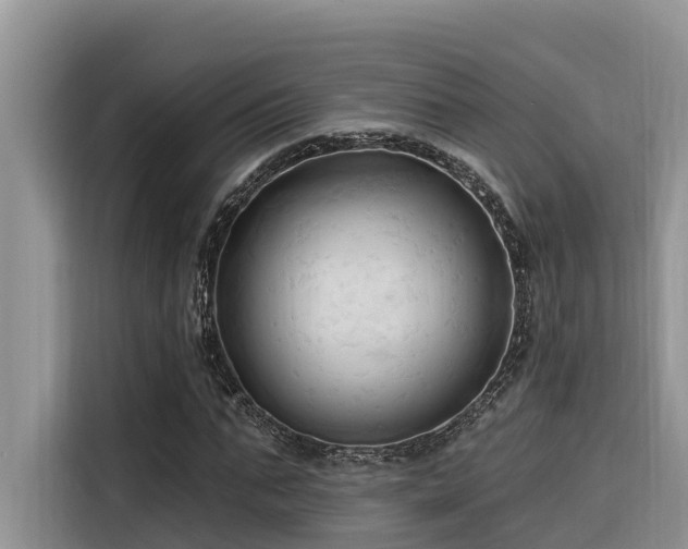 X0000116320871200912011110