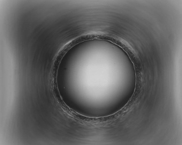 X0000116320872200912011110