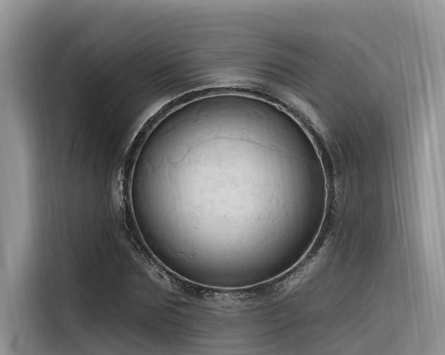 X0000116320875200912011110