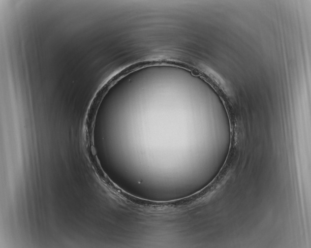 X0000116320876200912011110