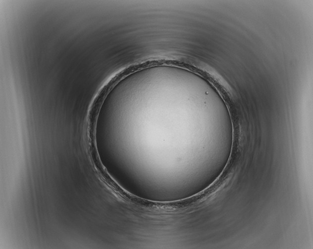 X0000116320878200912011110