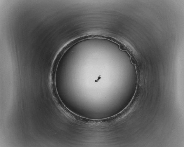 X0000116320880200912011110