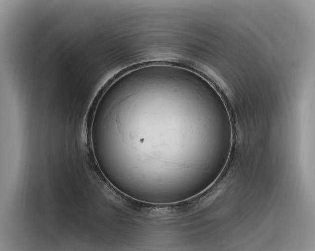 X0000116320883200912011110