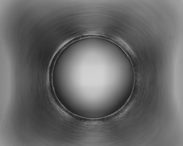 X0000116320884200912011110