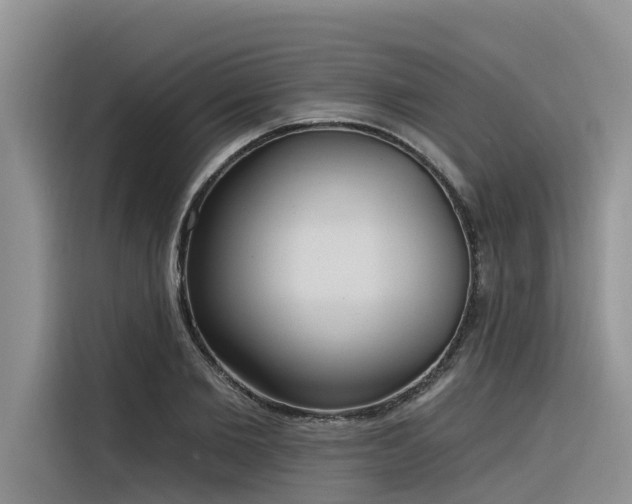 X0000116320885200912011110