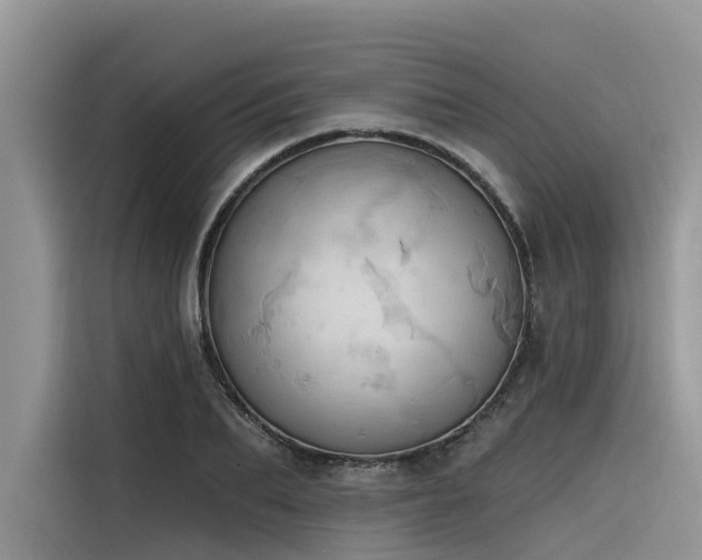 X0000116320887200912011110