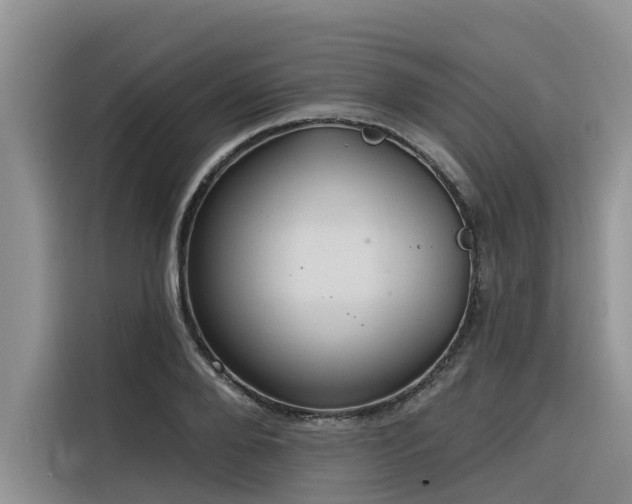 X0000116320888200912011110