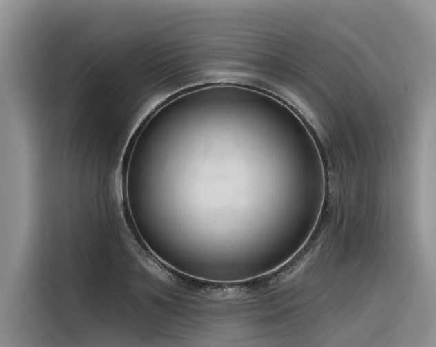 X0000116320891200912011110