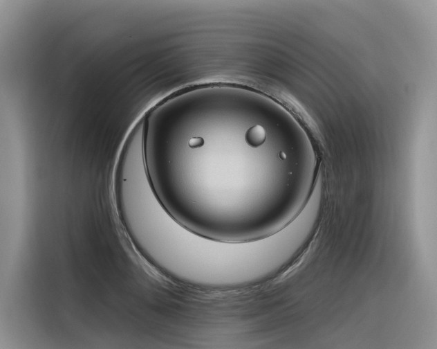 X0000116320892200912011110