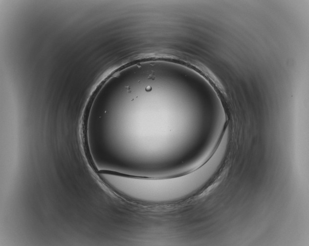 X0000116320893200912011110