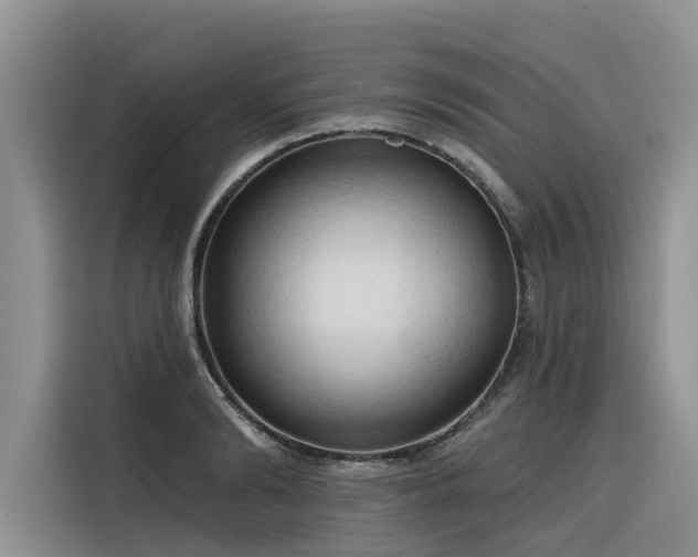 X0000116320894200912011110