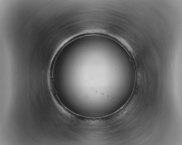 X0000116320895200912011110