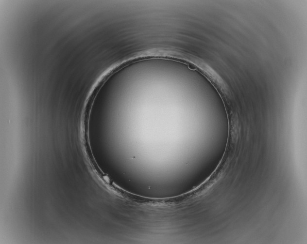 X0000116320896200912011110