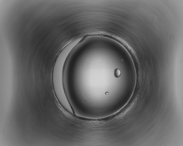 X0000116320897200912011110