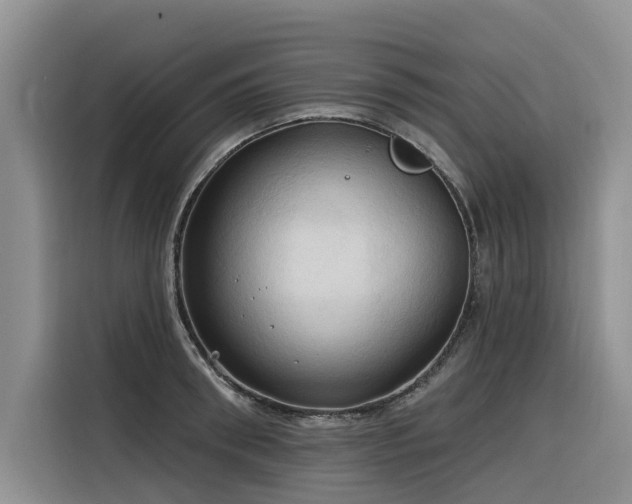 X0000116320898200912011110