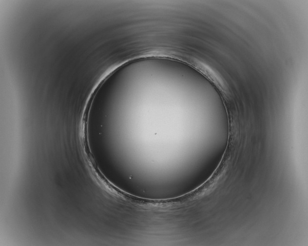 X0000116320900200912011110