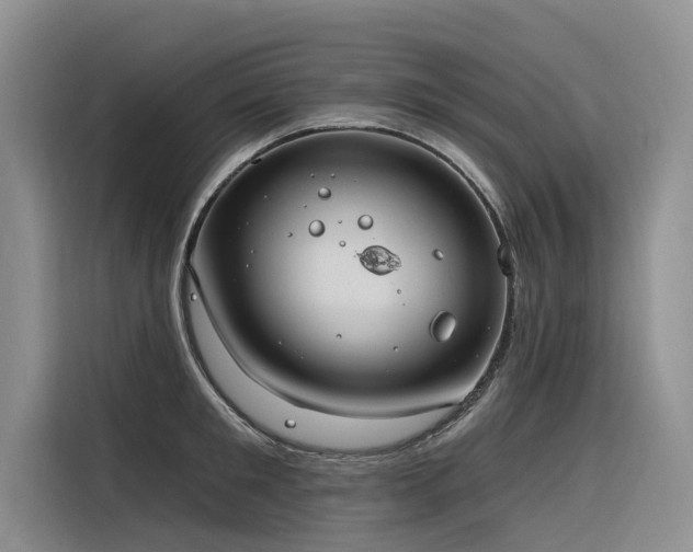 X0000116320901200912011110