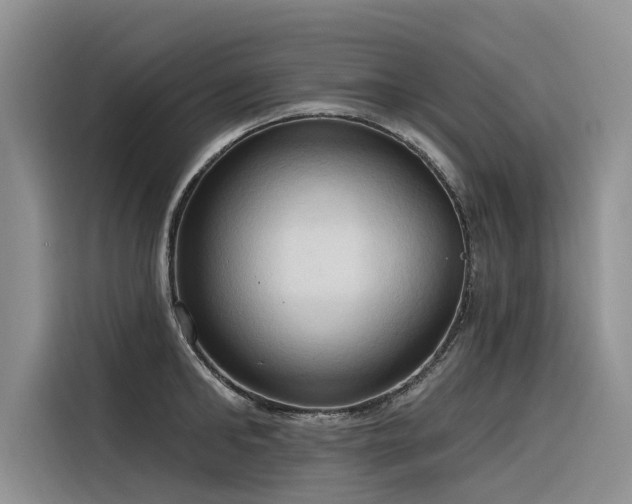 X0000116320902200912011110