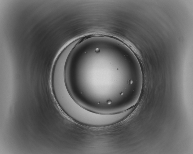 X0000116320904200912011110