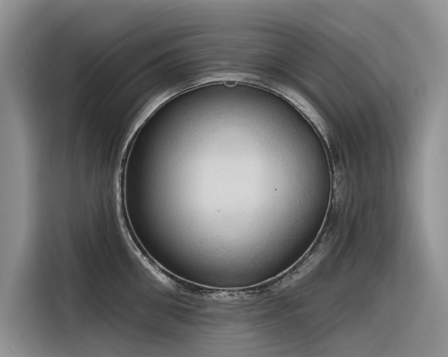 X0000116320906200912011110